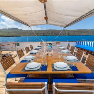 M/Y PASSION - Image 16