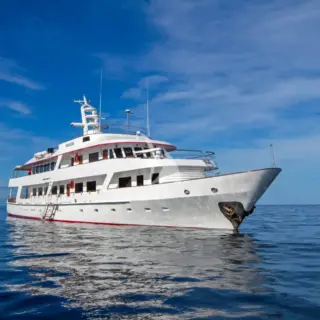 M/Y PASSION - Image 14