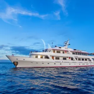 M/Y PASSION - Image 1