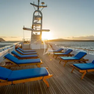 M/Y PASSION - Image 23
