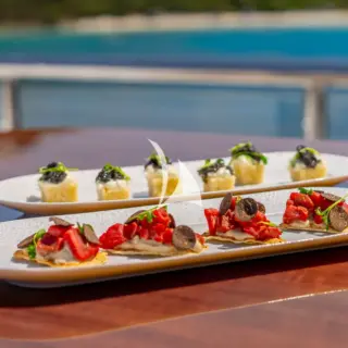 SCOTT FREE - Sun Deck Canapes