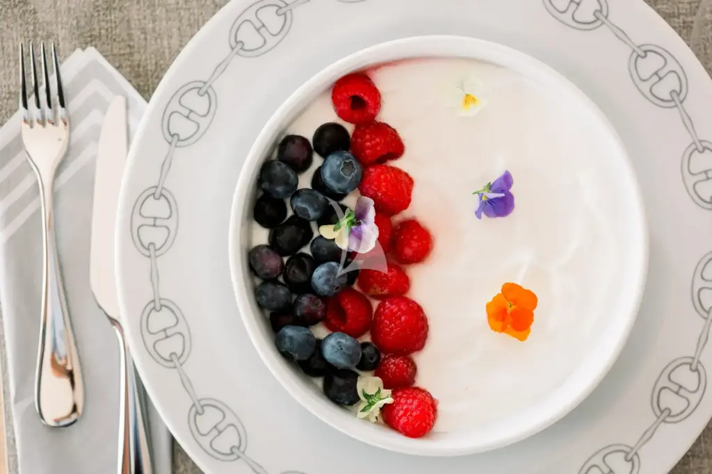 NEW HORIZONS 3 - Yogurt with Berries