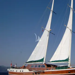 ECCE NAVIGO - Image 12
