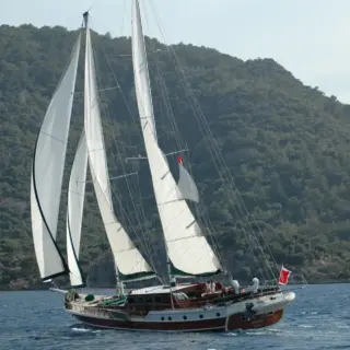 ECCE NAVIGO - Image 16