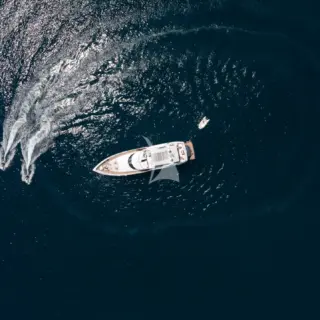 CLARITY - Image 2