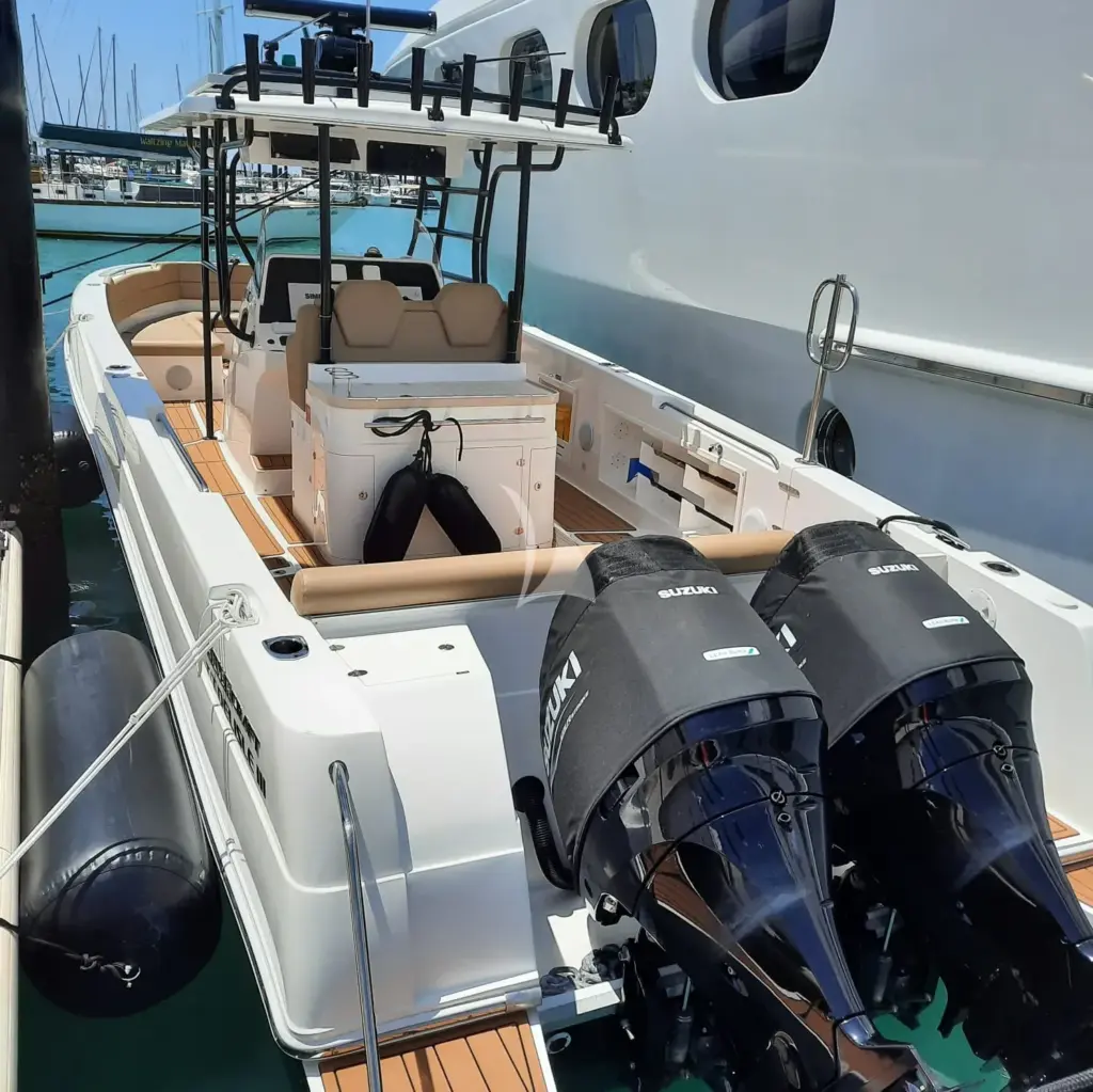 DE LISLE III - Tender 36ft Silver Craft