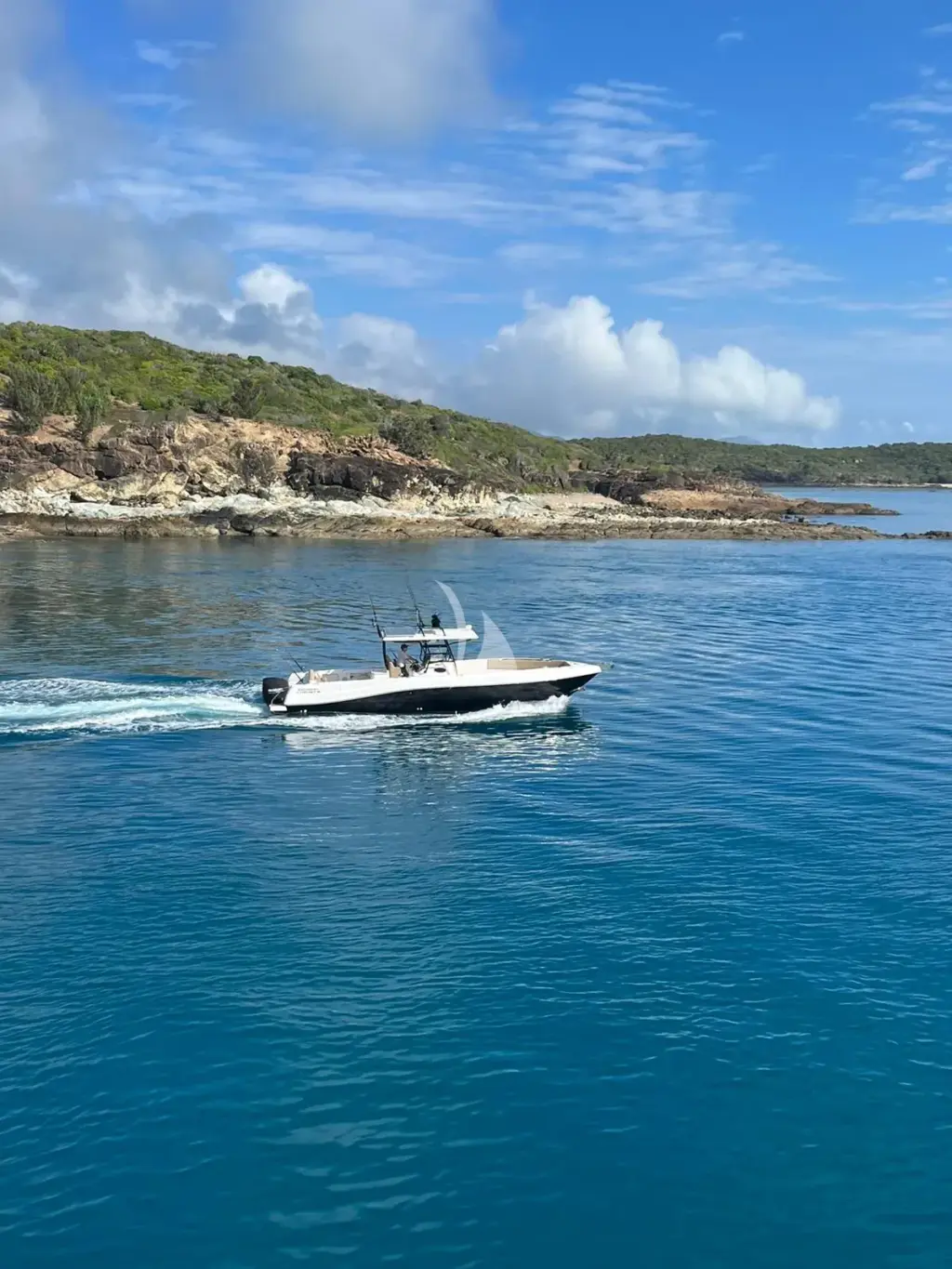 DE LISLE III - Tender 36ft Silver Craft