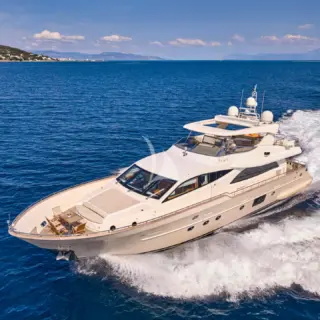 STAR LINK - Image 13