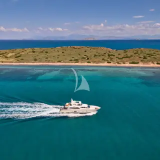 STAR LINK - Image 5