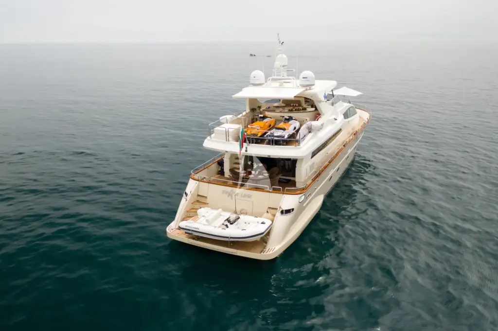 STAR LINK - On top view