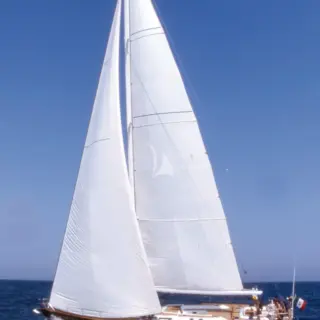 Class IV - Image 12