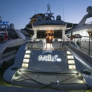 MILU II - Image 2