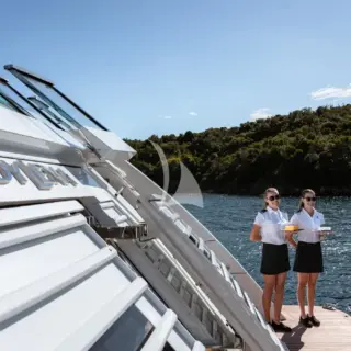 Stern