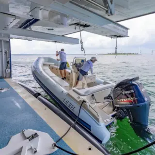 Tender Launch
