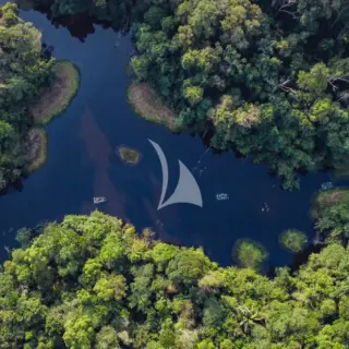 Amazon Tributary