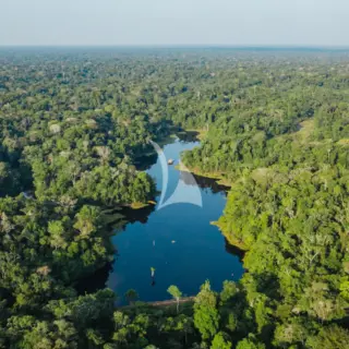 Amazon Tributary