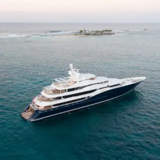 Amaryllis at Anchor