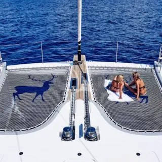 Blue Deer - Image 12
