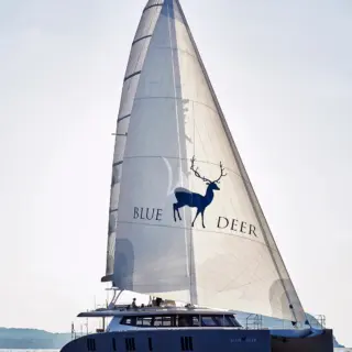 Blue Deer - Image 13