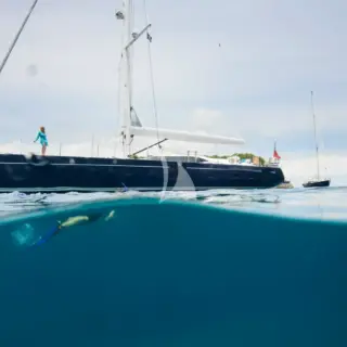 Reina - Image 1