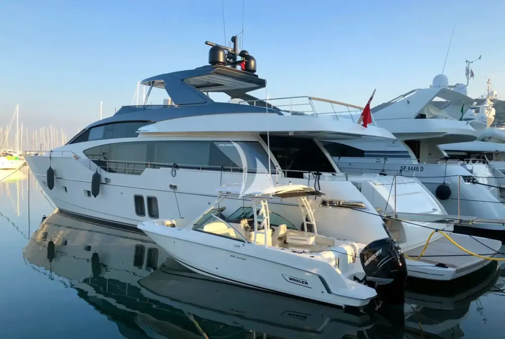 SQUALO with 23' Boston Whaler