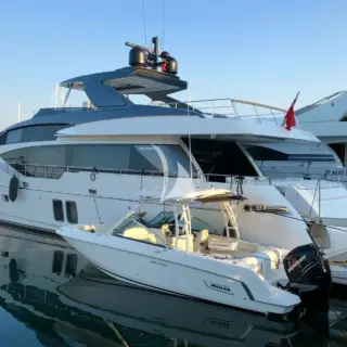 SQUALO with 23' Boston Whaler