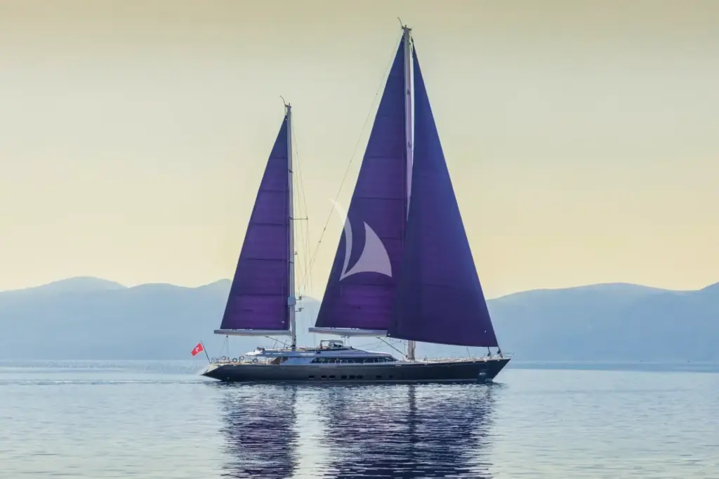 BARACUDA VALLETTA - Image 3