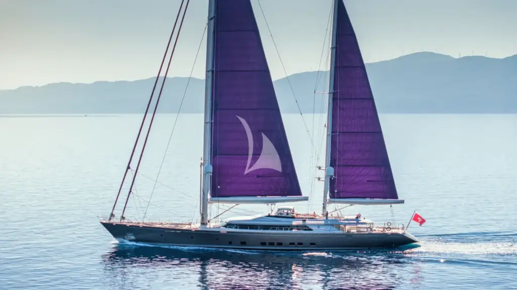 BARACUDA VALLETTA - Image 4