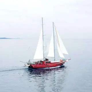 ERATO - Image 4