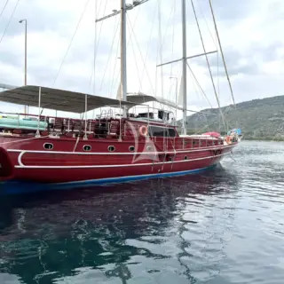 ERATO - Image 5