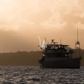 Grey Wolf - Exterior