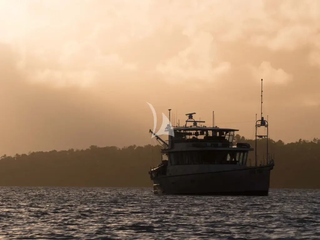 Grey Wolf - Exterior