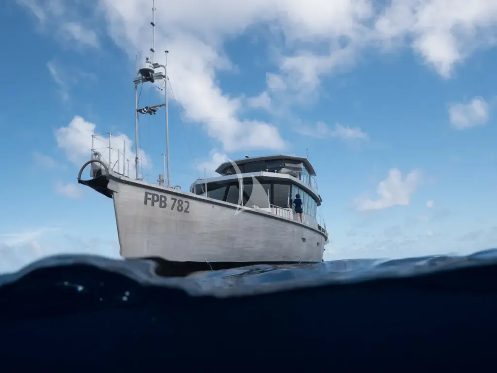 Grey Wolf - Exterior