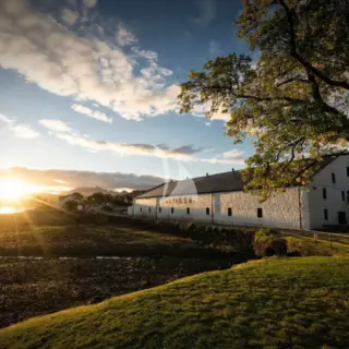 Grey Wolf - Image 22