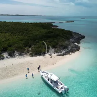 36' Everglades Tender