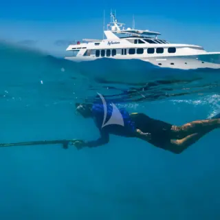 Spearfishing