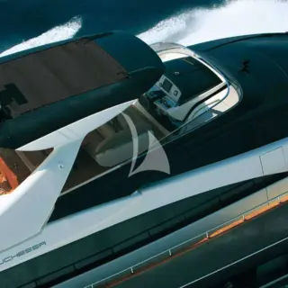 ANYTHING GOES IV - Image 14