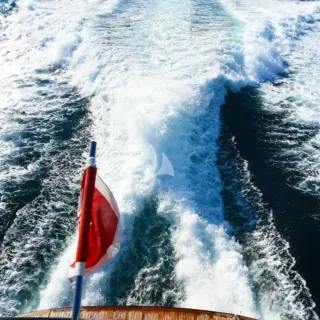 ANYTHING GOES IV - Image 22