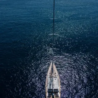 LADY 8 Birdseye 
