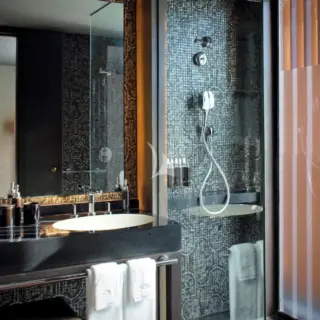 Guest suite shower room