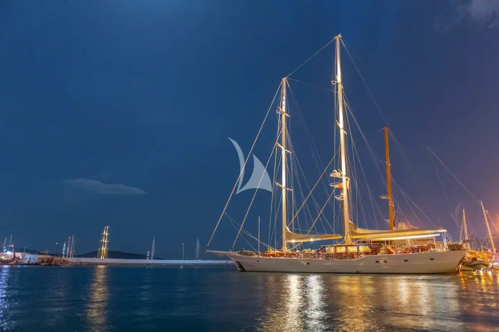 HIC SALTA - By night