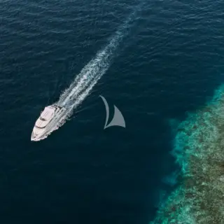 ALICE Cruising