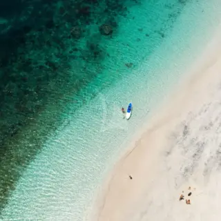 Paddle board