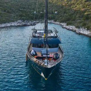 Rara Avis - Image 14