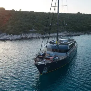 Rara Avis - Image 12