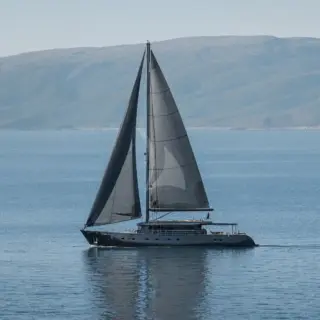 Rara Avis - Image 1