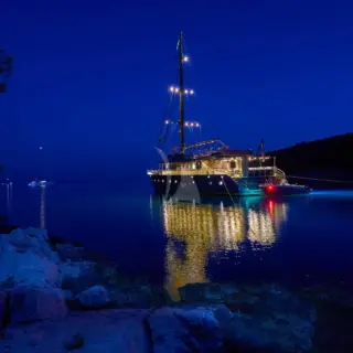 Rara Avis - Image 7