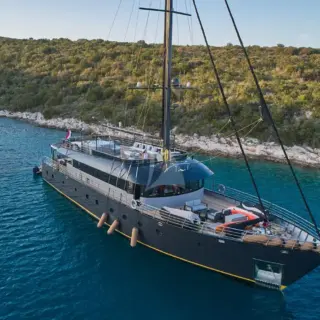 Rara Avis - Image 6