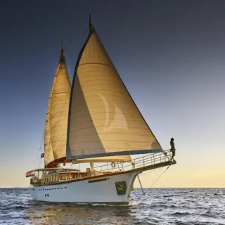 Morning Star - Image 5