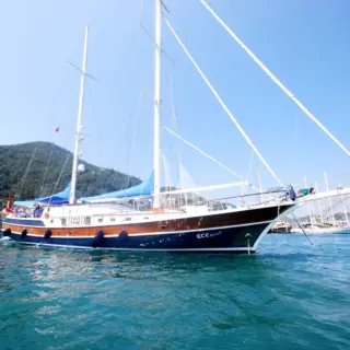 Ece Berrak - Image 12